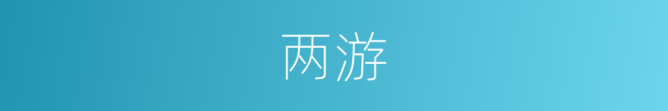 两游的同义词