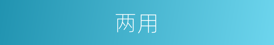 两用的意思