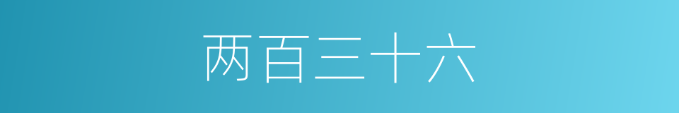 两百三十六的同义词