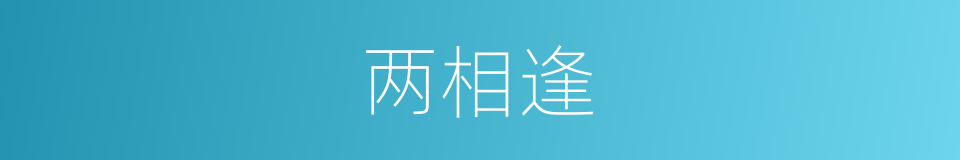 两相逢的同义词