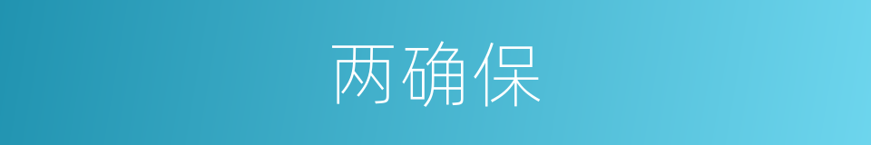 两确保的同义词