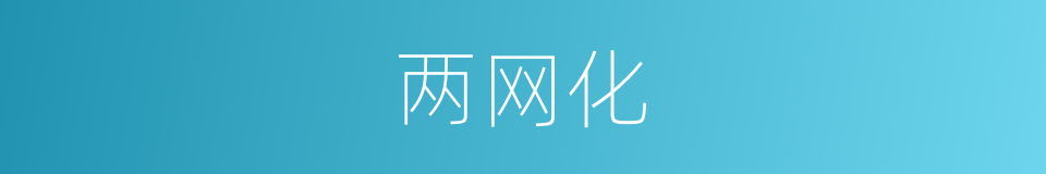 两网化的同义词