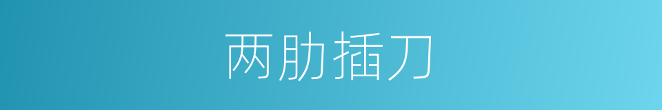 两肋插刀的意思