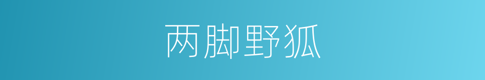 两脚野狐的同义词