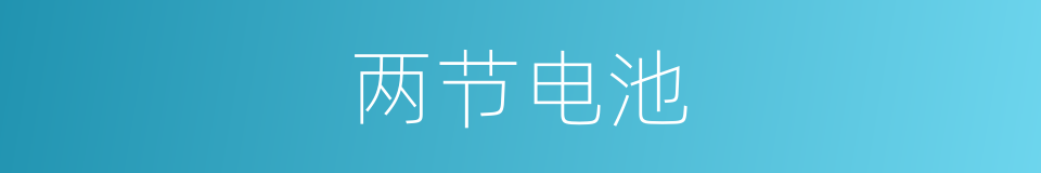 两节电池的同义词
