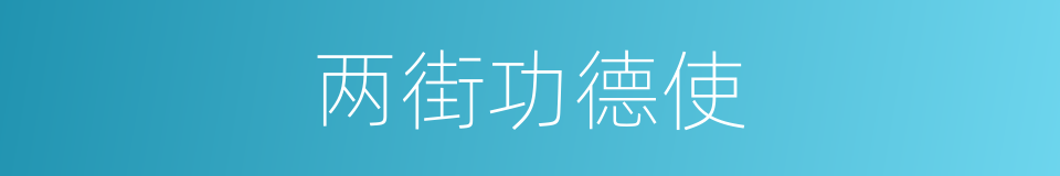 两街功德使的同义词