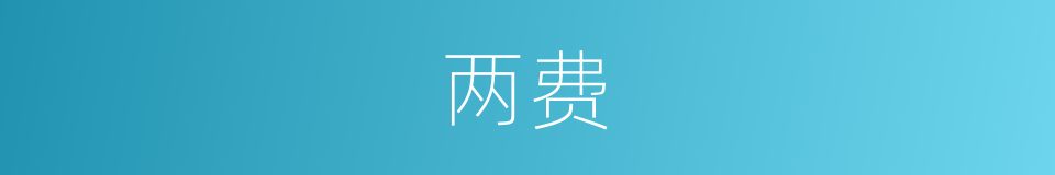 两费的同义词