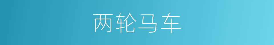 两轮马车的同义词