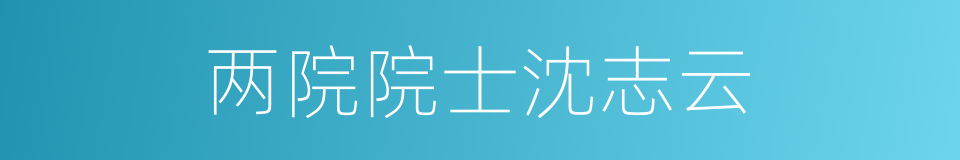 两院院士沈志云的同义词