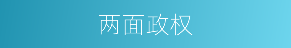 两面政权的意思