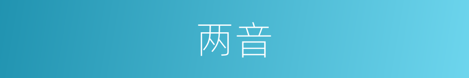 两音的意思