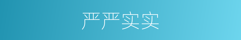 严严实实的意思