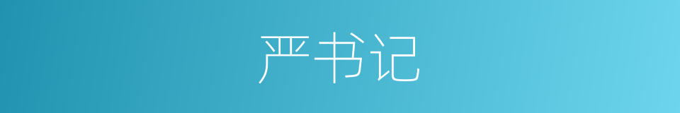 严书记的同义词
