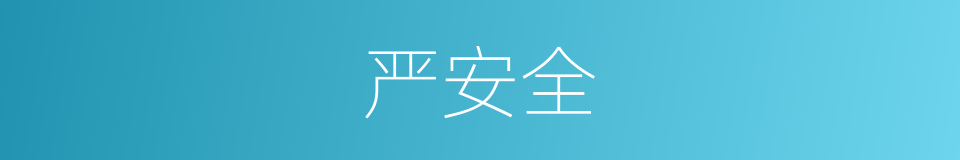 严安全的同义词