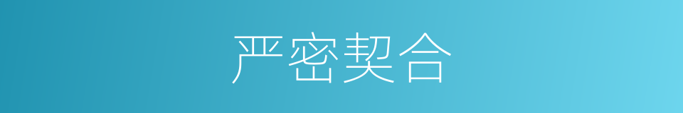 严密契合的同义词