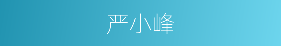 严小峰的同义词