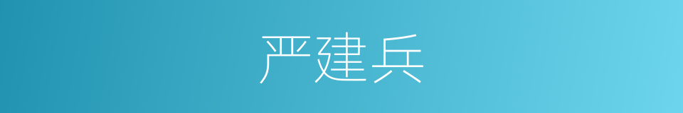 严建兵的同义词