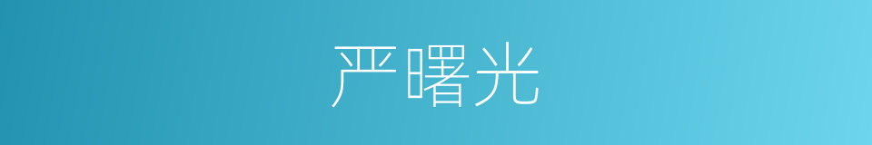 严曙光的同义词