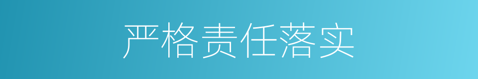 严格责任落实的同义词