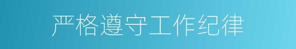 严格遵守工作纪律的同义词