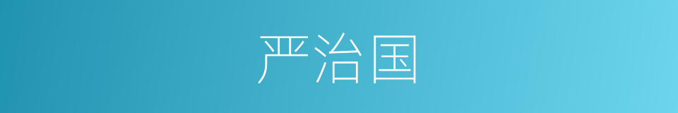 严治国的同义词