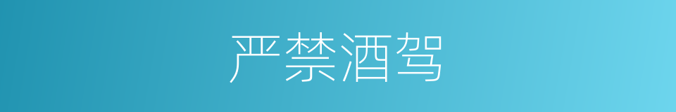 严禁酒驾的同义词