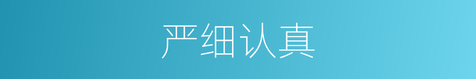 严细认真的同义词