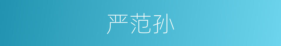 严范孙的同义词