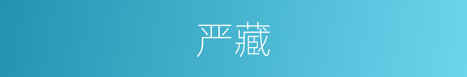 严藏的同义词