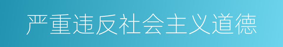 严重违反社会主义道德的同义词