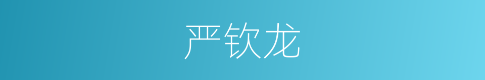 严钦龙的同义词