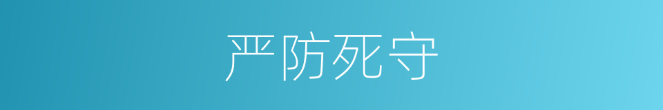 严防死守的意思