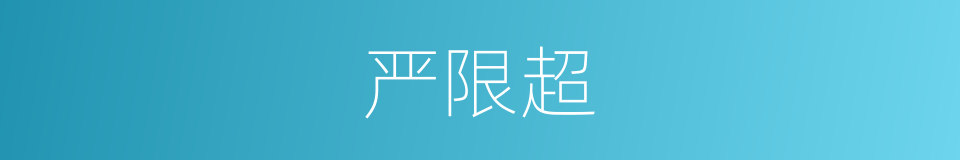 严限超的同义词