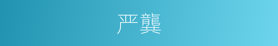严龔的同义词