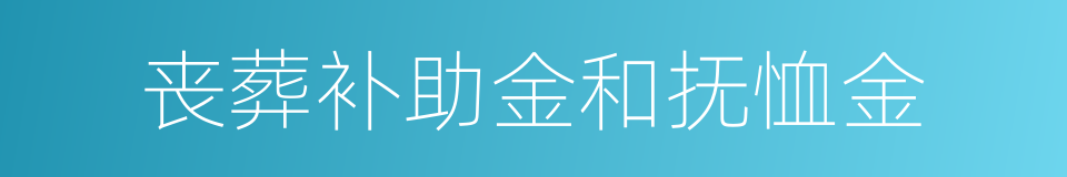 丧葬补助金和抚恤金的同义词