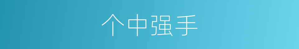 个中强手的同义词
