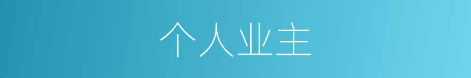个人业主的同义词