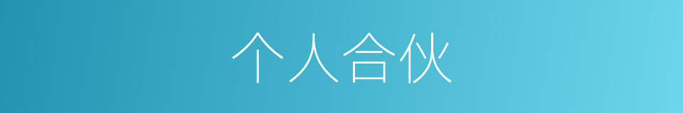 个人合伙的同义词