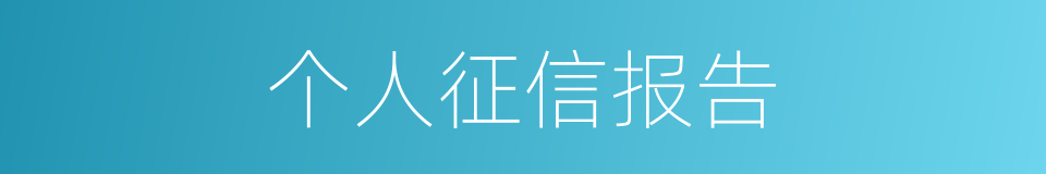 个人征信报告的同义词