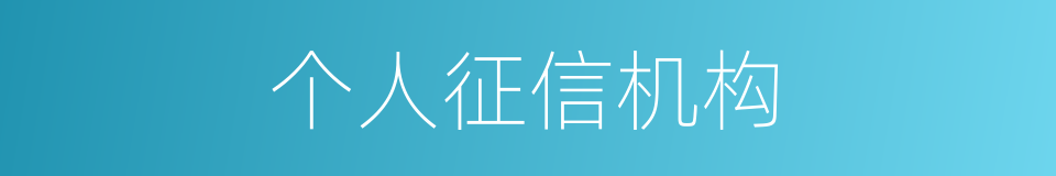 个人征信机构的同义词