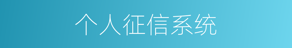 个人征信系统的同义词