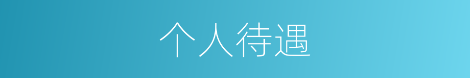 个人待遇的同义词