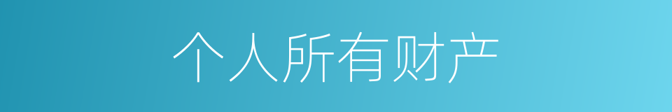 个人所有财产的同义词