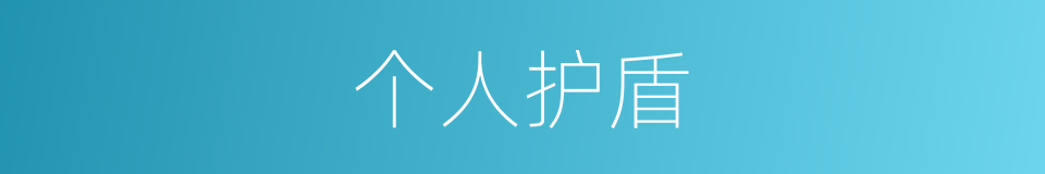 个人护盾的同义词