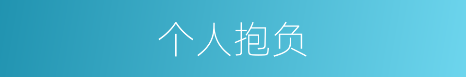 个人抱负的同义词