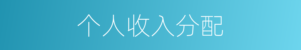 个人收入分配的同义词
