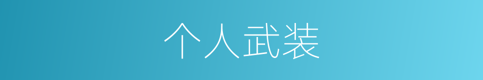 个人武装的同义词