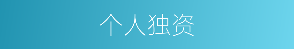 个人独资的同义词