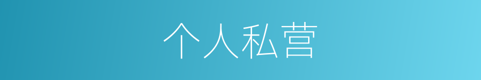 个人私营的同义词