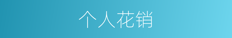 个人花销的同义词